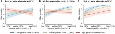 The Interplay Between Prenatal Adversity, Offspring Dopaminergic Genes, and Early Parenting on <mark class="highlighted">Toddler</mark> Attentional Function